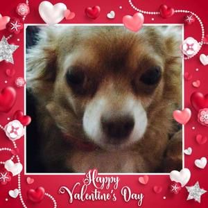 Meet your Posher, Joan